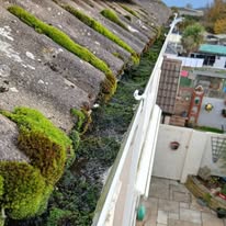 Blocked gutter before cleaning in Dublin