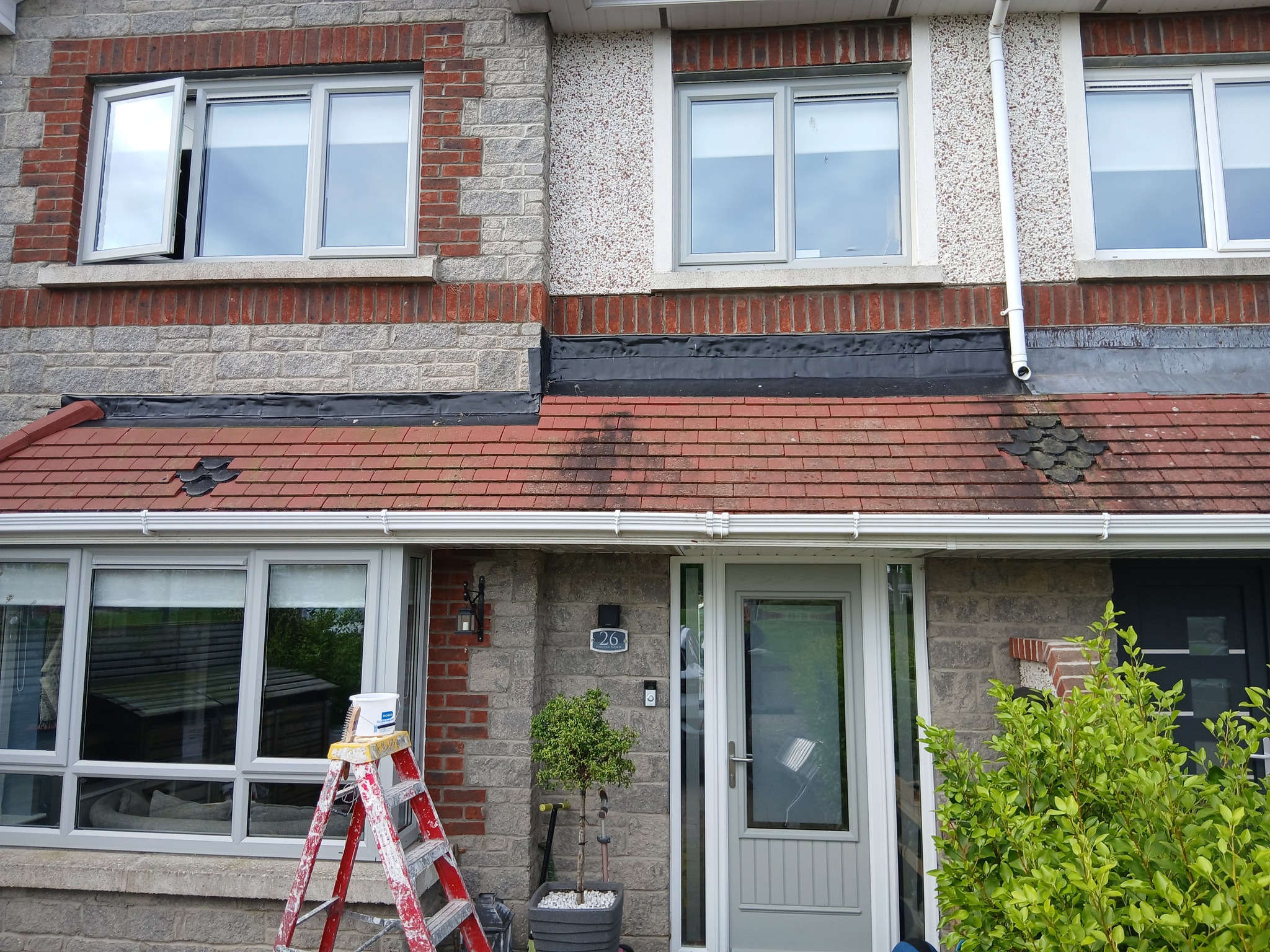 Mossy roof before soft washing